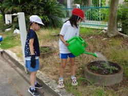 2年生老人会の方々と花植え