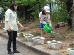2年生老人会の方々と花植え