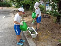2年生老人会の方々と花植え