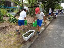 2年生老人会の方々と花植え