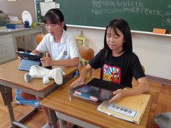 第4回委員会活動の様子