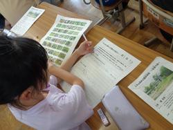 3年生総合的な学習の時間