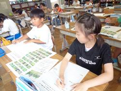 3年生総合的な学習の時間