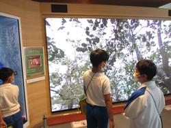4年生校外学習