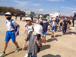 コミスクメイン活動の様子