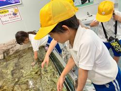 1年生校外学習