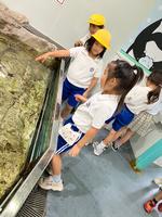 1年生校外学習