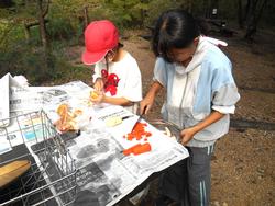 野外炊飯の様子