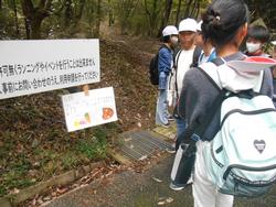 ウォークラリーの様子