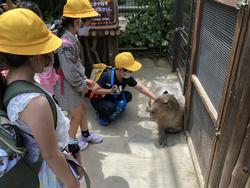 どうぶつ8