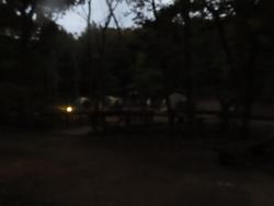 夜明け1