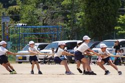 綱引き