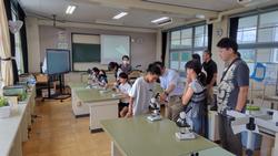 6年