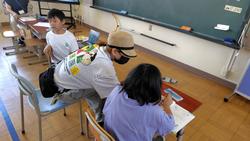 わかくさ