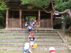 伽耶院