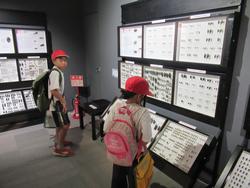 甲虫