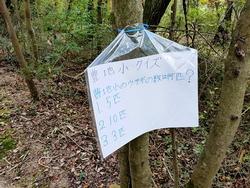 クイズ