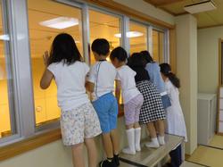 調理場を見る子ども達