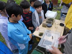 生き物観察