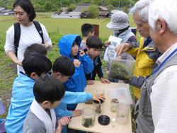 生き物観察