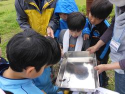 生き物観察