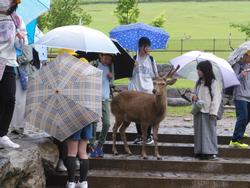 班別活動