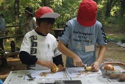 野菜を切る