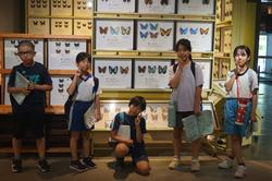 人と自然の博物館
