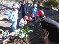 お気に入り紹介