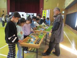 ジオラマを見る