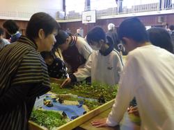 ジオラマを見る