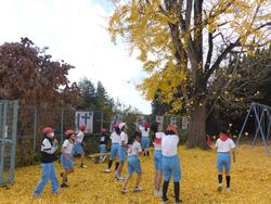 銀杏の葉っぱで遊ぶ