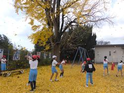 銀杏の葉っぱで遊ぶ