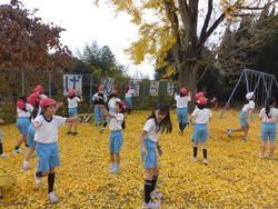 銀杏の葉っぱで遊ぶ