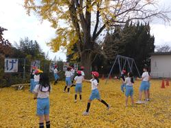 銀杏の葉っぱで遊ぶ