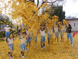 銀杏の葉っぱで遊ぶ
