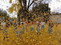 銀杏の葉っぱで遊ぶ