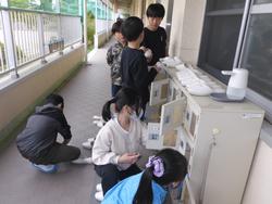 スリッパの掃除