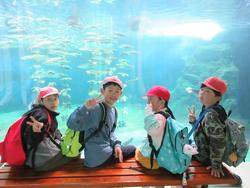 水族館