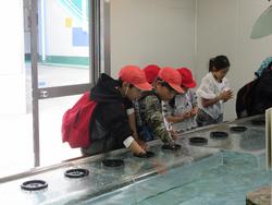水族館