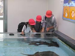 水族館