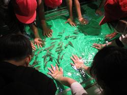 水族館