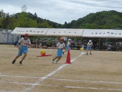 タイフーン