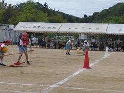 タイフーン