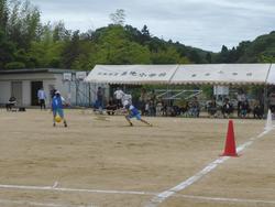 タイフーン