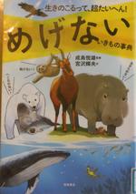 チャンプ本