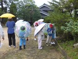 モリモリの素探し