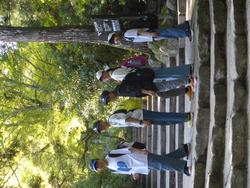 もみじ谷公園