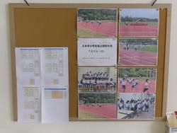 掲示