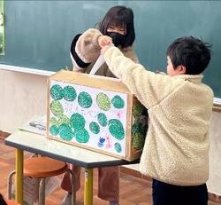 羽沢キャベツ1
